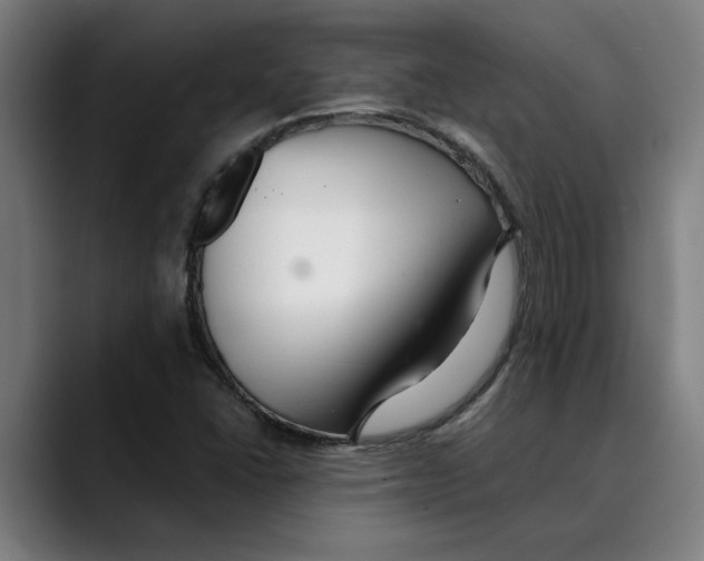 X0000089341406200707131503