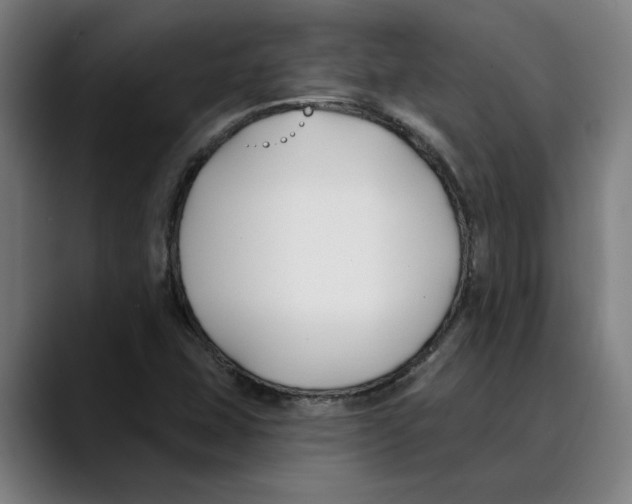 X0000089341407200707131503