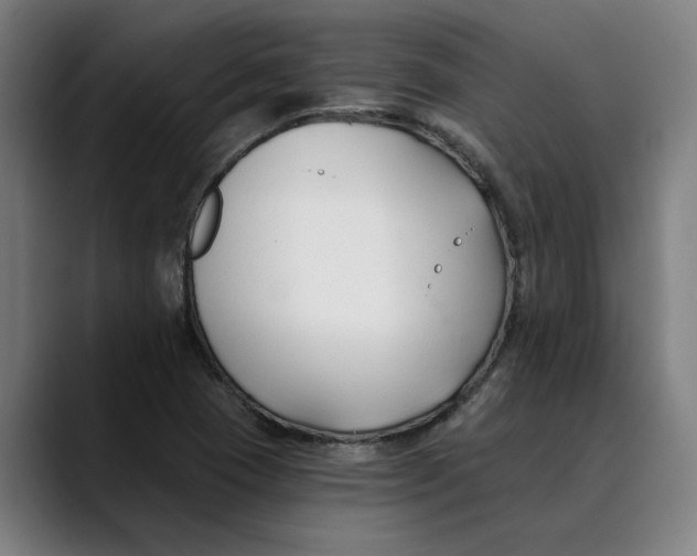 X0000089341409200707131503