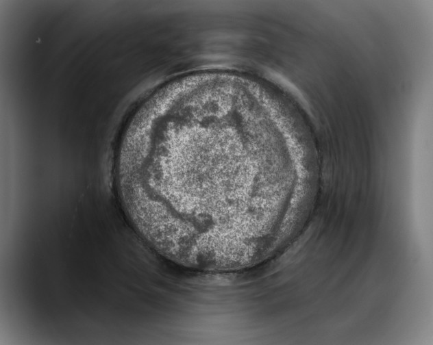 X0000089341411200707131503