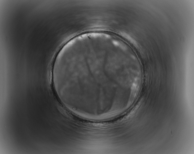 X0000089341413200707131503