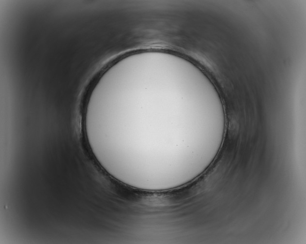 X0000089341414200707131503