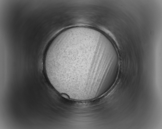 X0000089341415200707131503