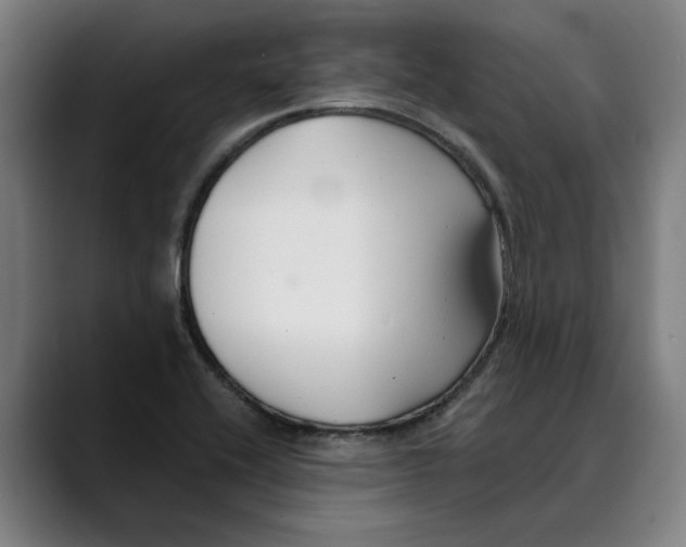 X0000089341416200707131503