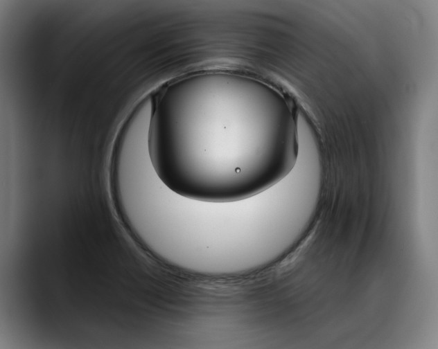 X0000089341418200707131503