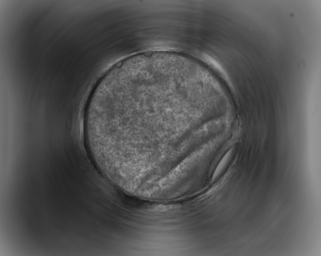 X0000089341419200707131503