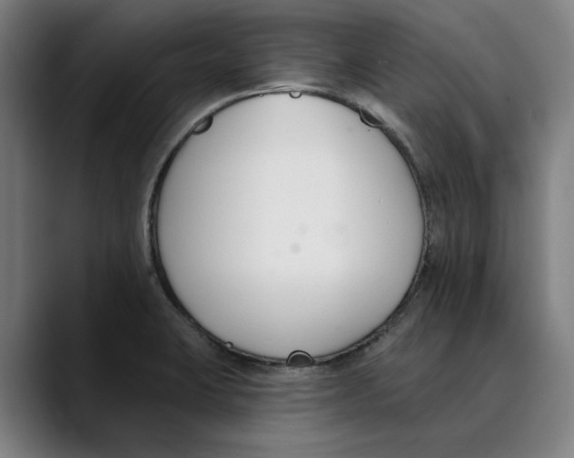 X0000089341423200707131503