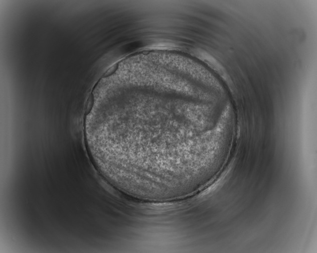 X0000089341425200707131503