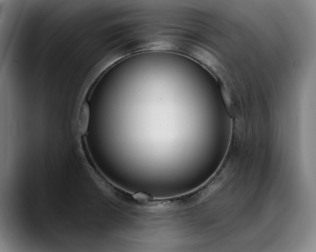 X0000089341426200707131503