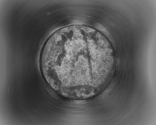 X0000089341427200707131503