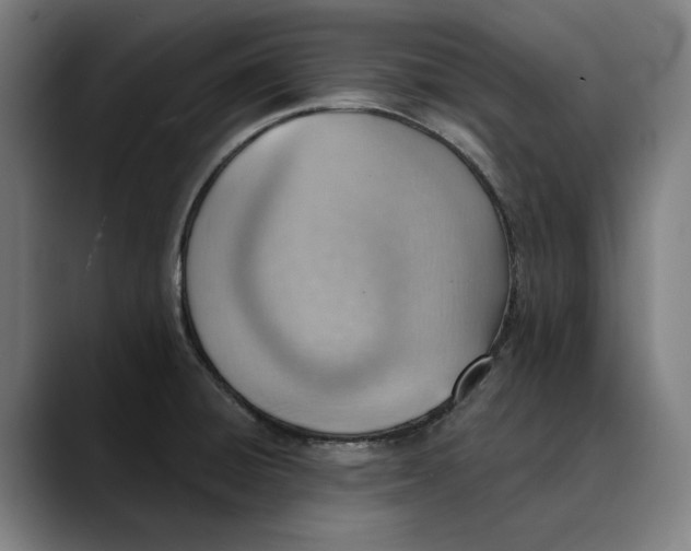 X0000089341428200707131503