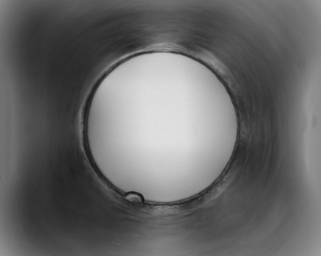 X0000089341430200707131503