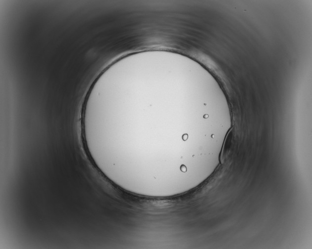 X0000089341431200707131503