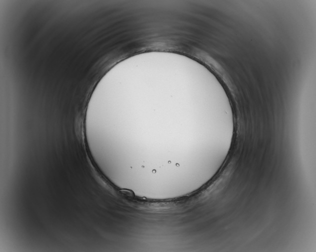 X0000089341433200707131503