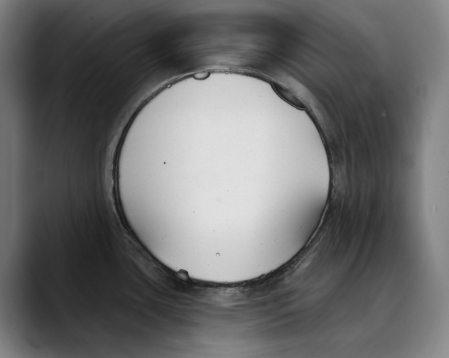 X0000089341435200707131503