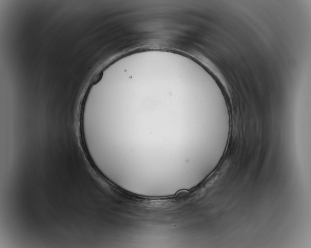 X0000089341437200707131503