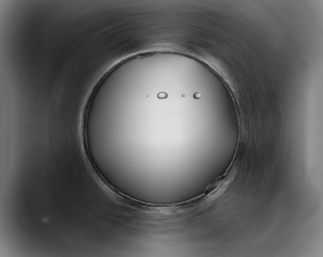 X0000089341438200707131503