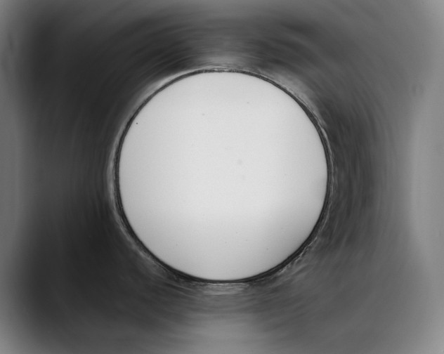 X0000089341440200707131504