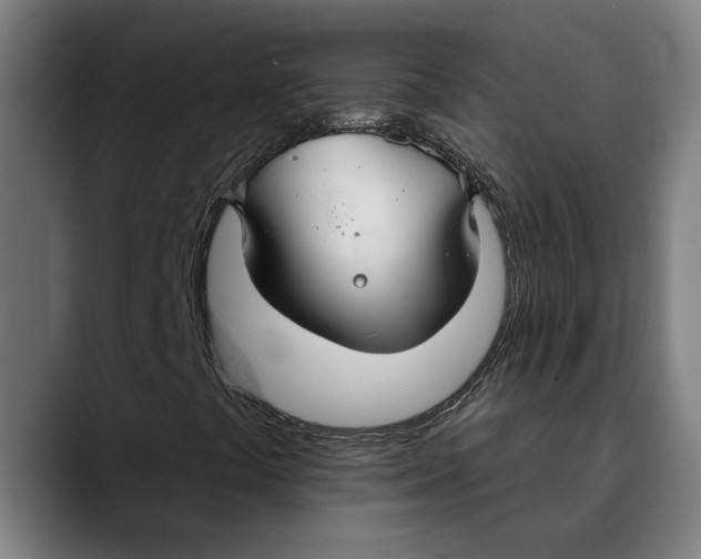 X0000089341441200707131503