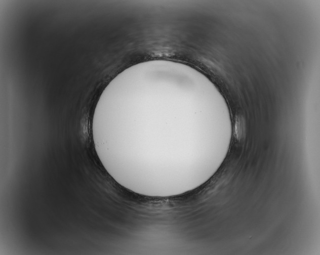 X0000089341444200707131503