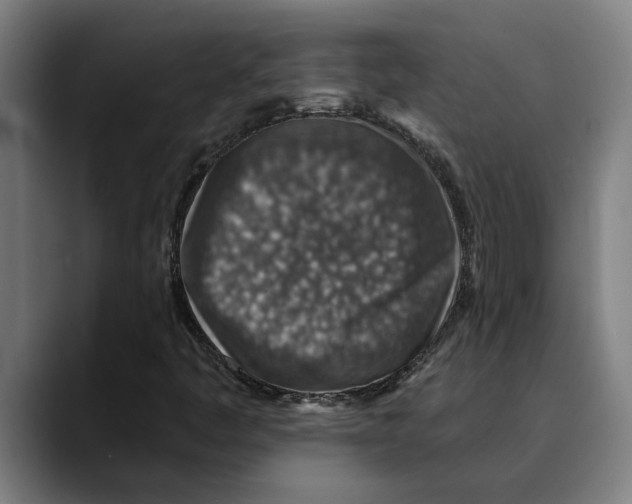X0000089341445200707131503
