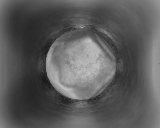 X0000089341446200707131503