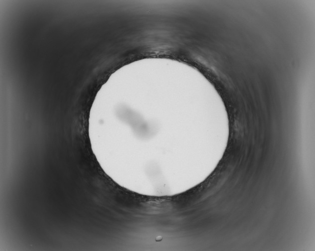 X0000089341447200707131503