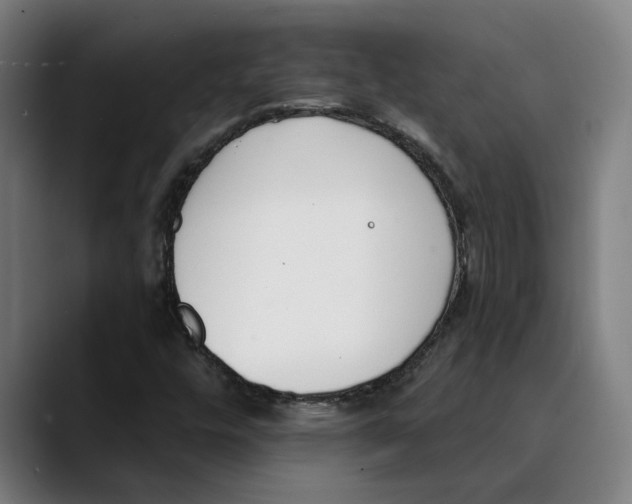 X0000089341448200707131503