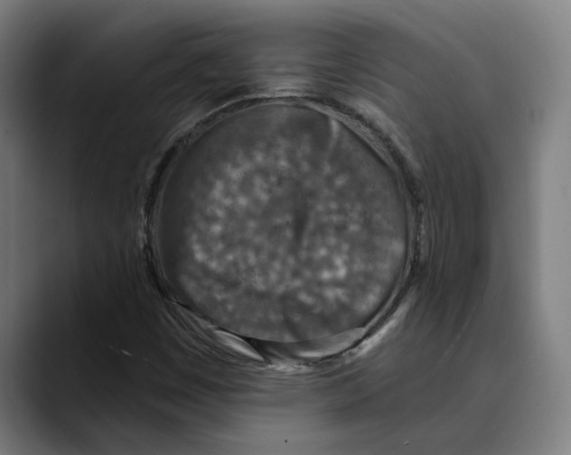 X0000089341449200707131503