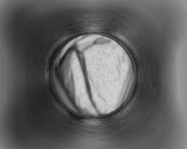 X0000089341450200707131503