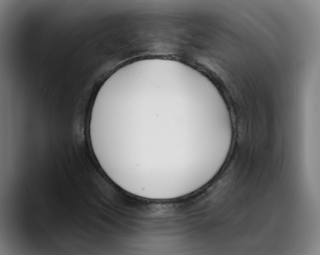 X0000089341451200707131503