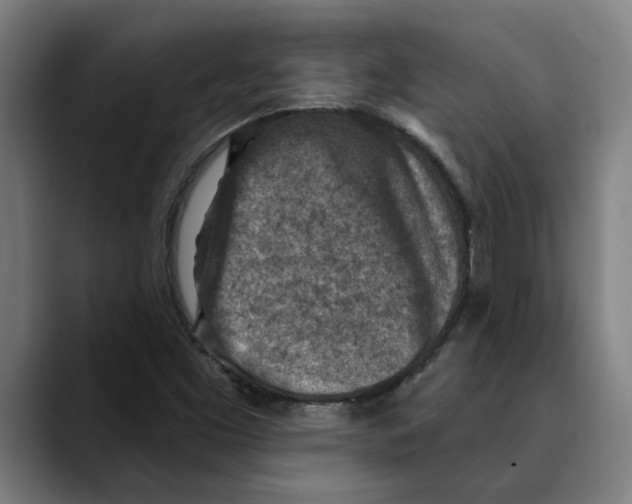 X0000089341453200707131503