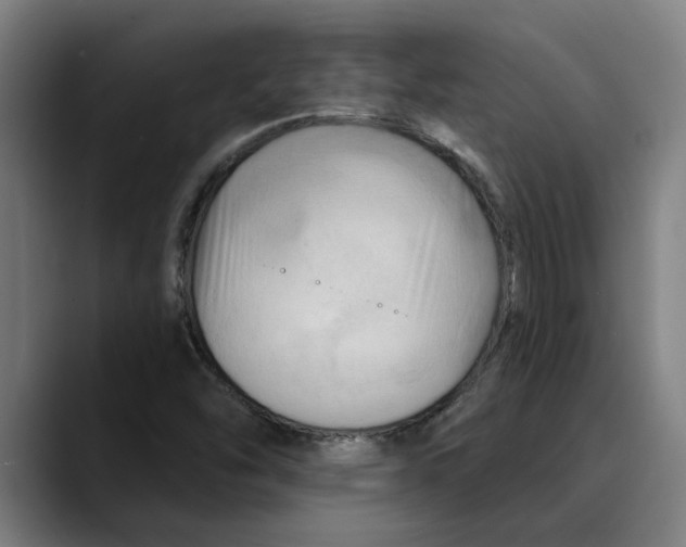 X0000089341454200707131503