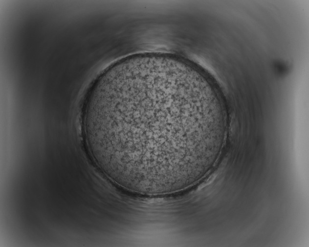 X0000089341455200707131503