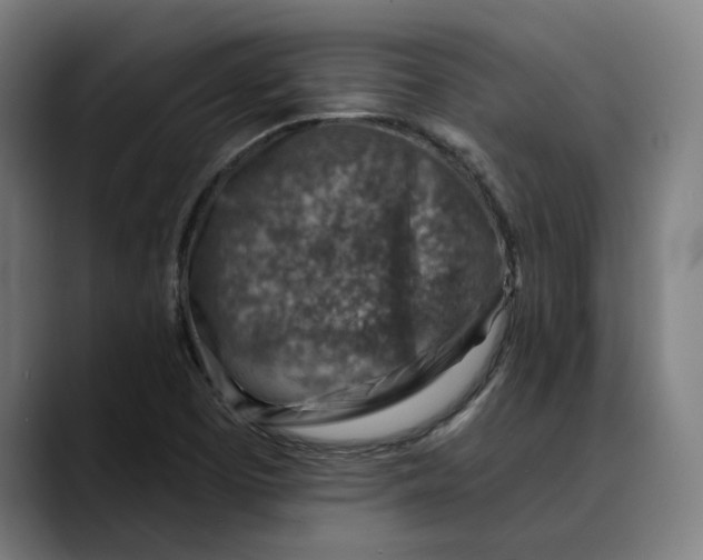 X0000089341457200707131503