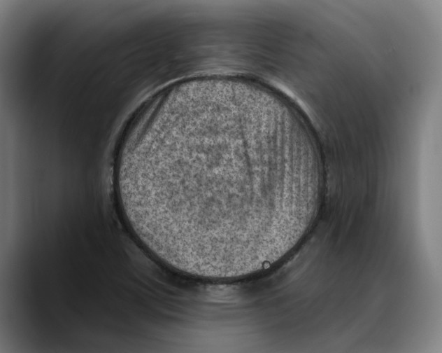 X0000089341459200707131503