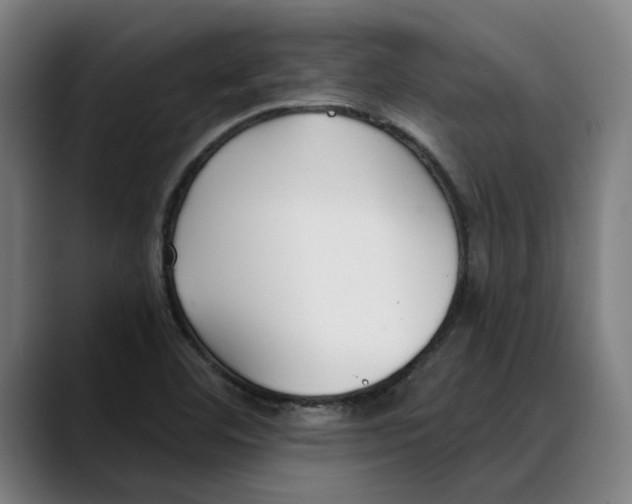X0000089341460200707131503