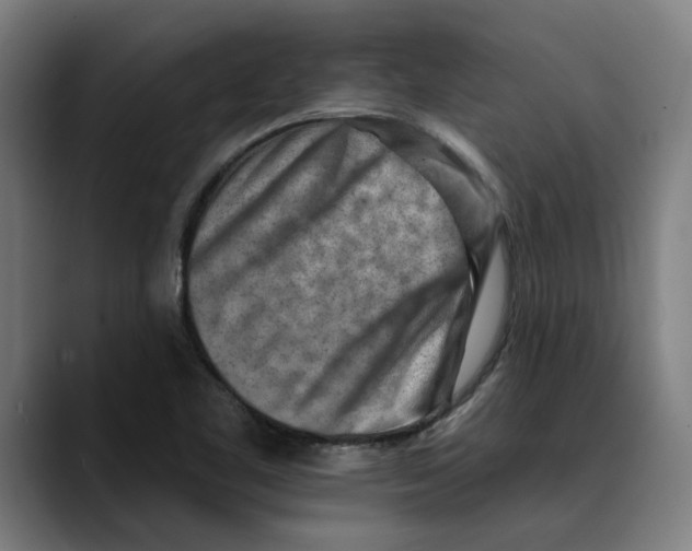 X0000089341461200707131503