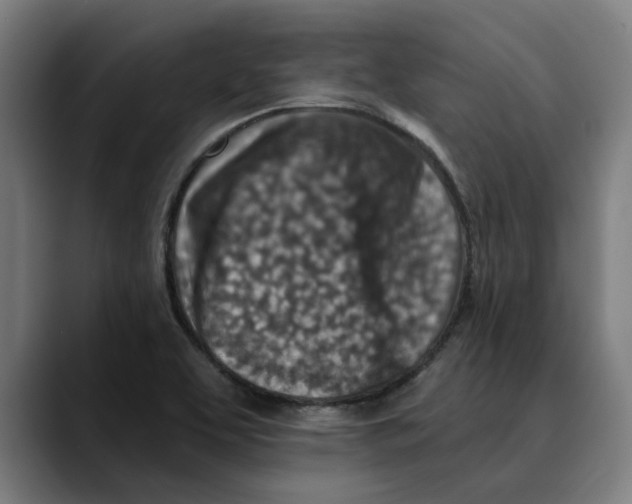 X0000089341463200707131503