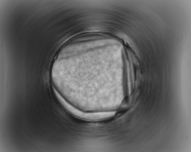 X0000089341465200707131503