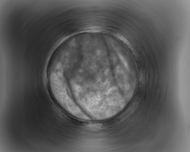 X0000089341466200707131503
