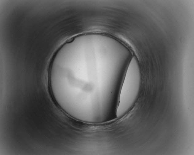 X0000089341467200707131503