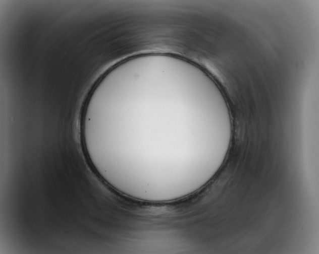 X0000089341468200707131503
