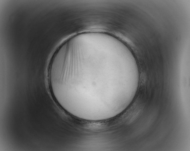 X0000089341470200707131503
