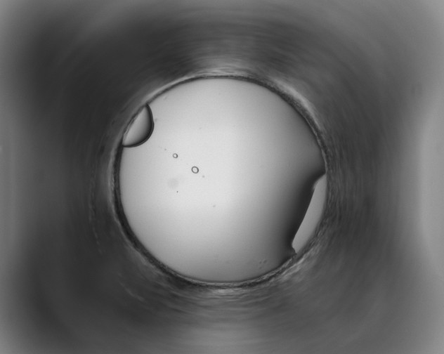 X0000089341471200707131503
