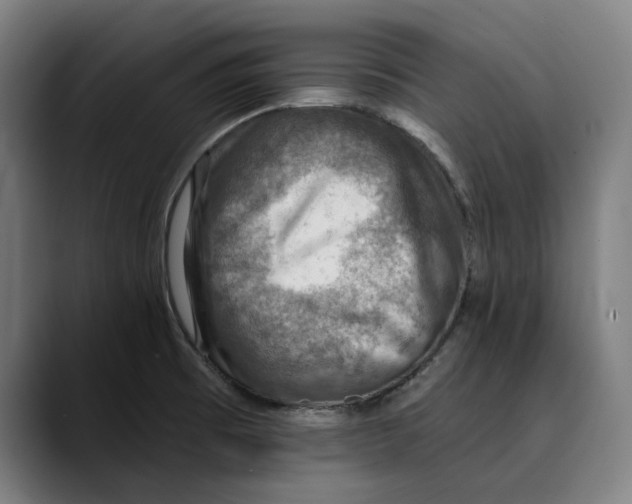 X0000089341473200707131503