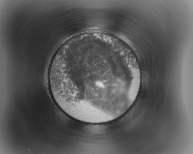 X0000089341474200707131503