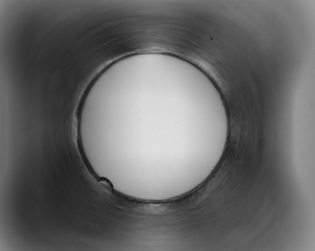 X0000089341476200707131503