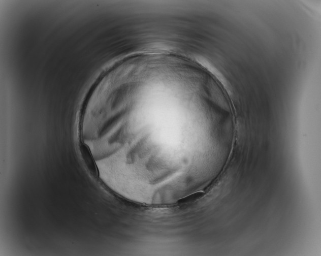 X0000089341477200707131503