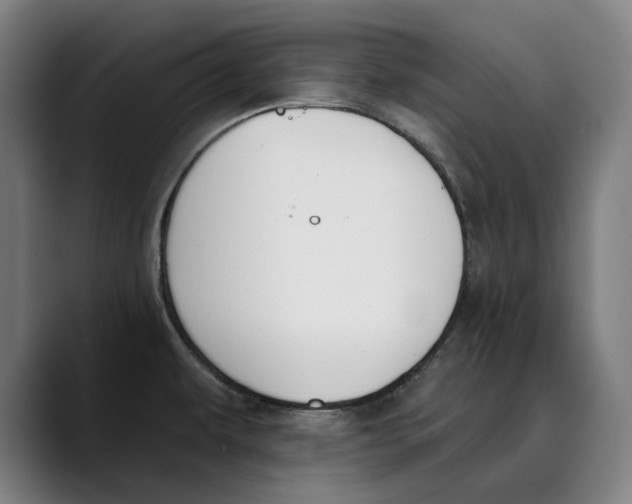 X0000089341479200707131502